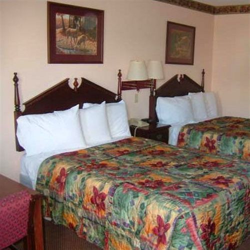 Clairmont Inn & Suites - Warren Kamer foto